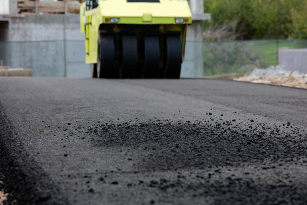 Best Driveway Paving Contractor  in Nicollet, MN